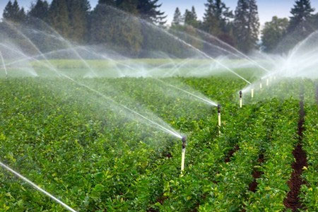 al qudwa automation systems Irrigation 1